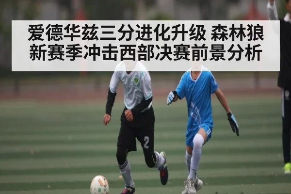 爱德华兹三分进化升级 森林狼新赛季冲击西部决赛前景分析